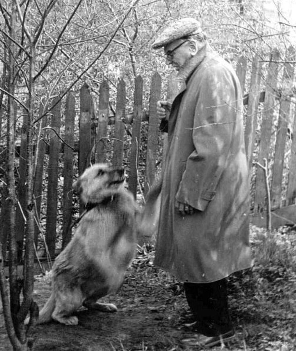 Фотография паустовского. Тобик собака Грина. Паустовский и его собака Грозный.